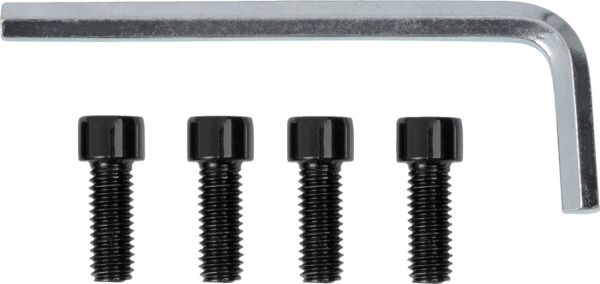 Center Cap 26x 4/110 Gloss Blk