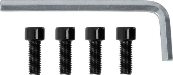 Center Cap 26x 4/136 Gloss Blk