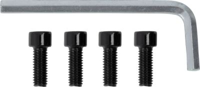 Center Cap 26x 4/136 Gloss Blk