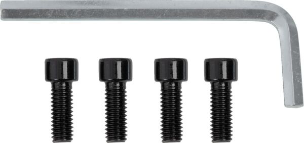 Center Cap 26x 4/156 Gloss Blk