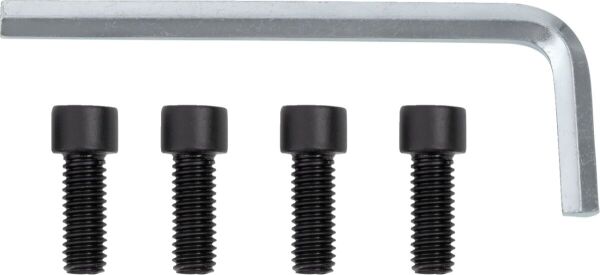 Center Cap 27x 4/110 Matte Blk