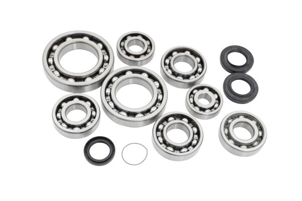 Dif Bearing & Seal Kit Rear