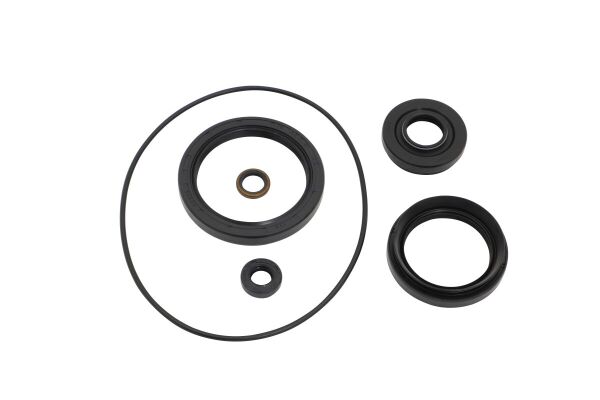 Differential Seal Kit Front