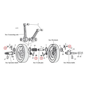 SLOT SCREW 10/24 X 3/8 | Lieferumfang: Nur ein Teil des abgebildeten Artikels.