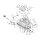 Chrome flat washers 3/8 inch - 25 pack | Lieferumfang: Nur ein Teil des abgebildeten Artikels.