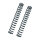 ** Bitubo, fork spring kit Breakout K=0.65 + 2 Lt. oil