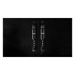 ** Bitubo, WMT dual shock absorber set. Piggyback. 356mm