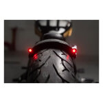 Killer Custom, Rear Fender Rodstr