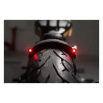 Killer Custom, Rear Fender Rodstr