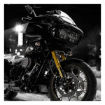 Kraus, KR8 inverted front end kit. Gold