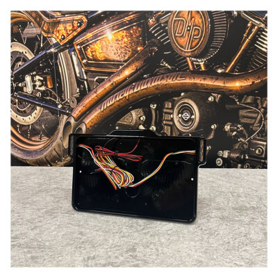 DMP, license plate frame 3.0 France. Gloss Black