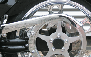 GZP Beltguard for single sided swinga