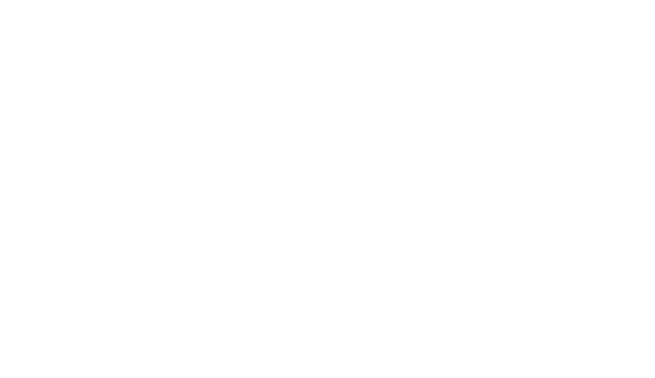 GZP Univ. LED E-approved clearlens taill (DE)