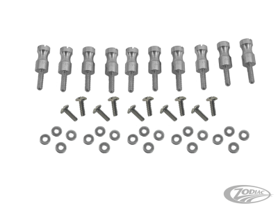 GZP 10pck Ign. plate stud/bolt kit #3260