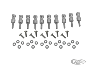GZP 10pck Ign. plate stud/bolt kit #3260 (DE)