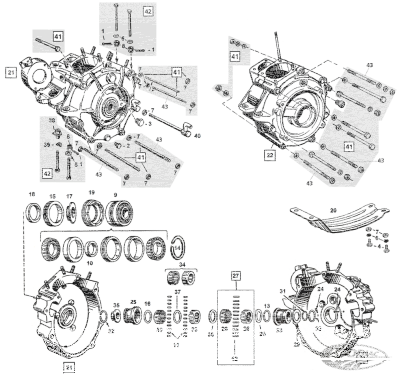 L/Crankcase bearing race +005 (DE)