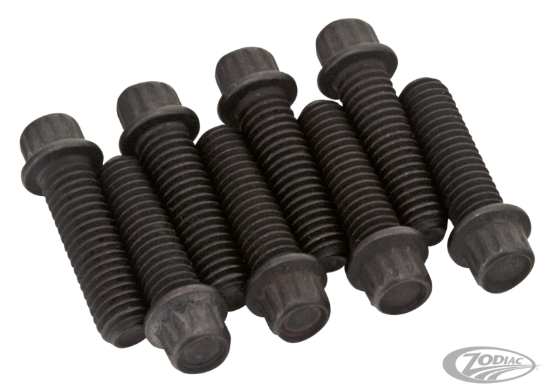 Black 12-Pnt screws 1/4-24 set/8 (DE)