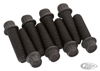 Black 12-Pnt screws 1/4-24 set/8 (DE)