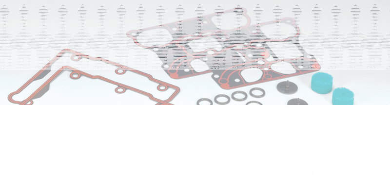 Gasket+Seal Kit Rocker Cover TC99-17 (DE)