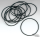10pck O-ring derby Cover XL94-up (DE)