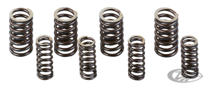 Valve springset 8pcs #18202-83 BT84-03 (DE)