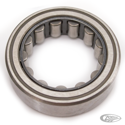 Bearing, mainshaft FXD06 BT07-up (DE)