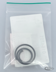 Spring, armature (DE)