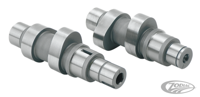 Camshafts 21G bolt-in TC99-06 ex FXD06 (DE)