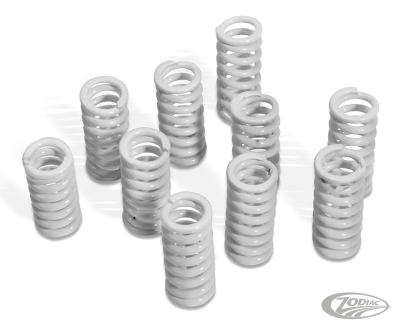 Barnett H-duty clutch spring 41-84 set10 (DE)