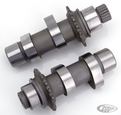 Camshafts 21H bolt-in FXD06 TC07-17 (DE)