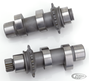 Camshafts 60H bolt-in FXD06 TC07-17 (DE)