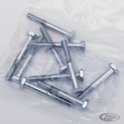 10pck Chrome hex head screws 1/4-28x2 (DE)