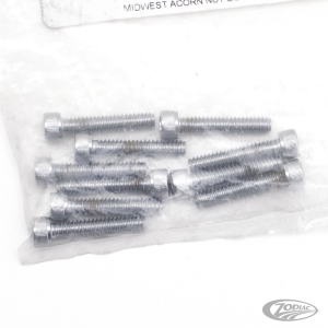 10pck Chrome allen screws 10-24x1 (DE)