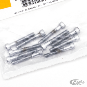 10pck Chrome allen screws 10-24x1-1/4 (DE)
