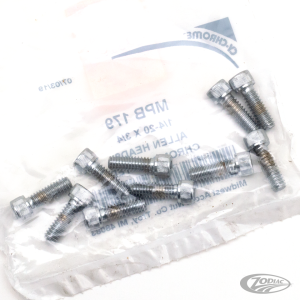 10pck Chrome allen screws 1/4-20x3/4 (DE)