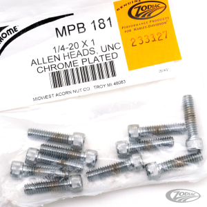 10pck Chrome allen screws 1/4-20x1 (DE)