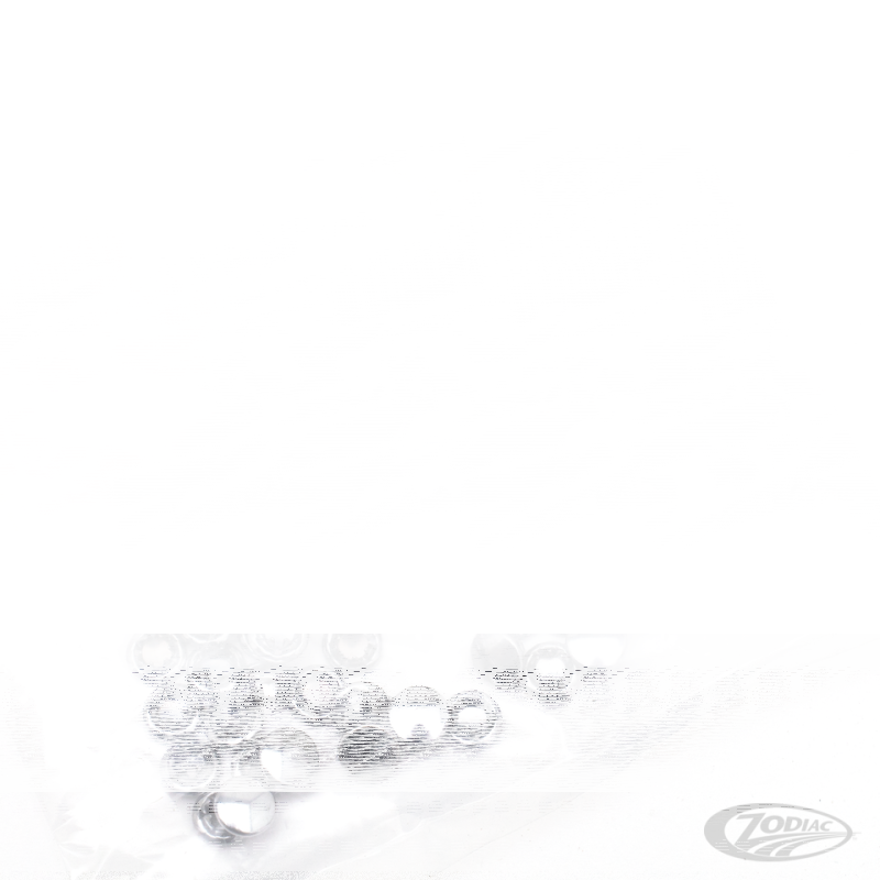 100pck Allen hole plugs 1/4 chrome (DE)