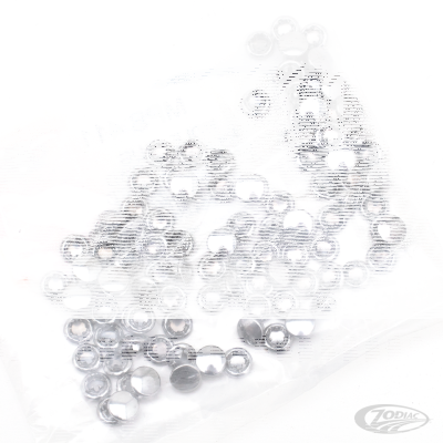 100pck Allen hole plugs 1/4 chrome (DE)