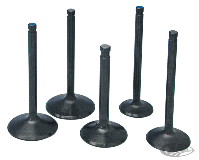 KPMI BD intake valve 1200XL04-up