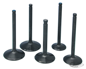 KPMI BD exhaust valve 1200XL04-up