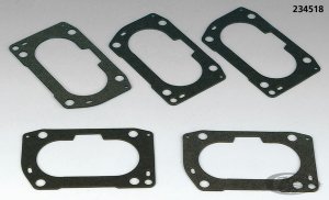 10pck EFI Gasket BT99-01 (DE)