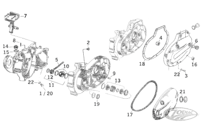 R.Case Pinion shaft roller set +.0002" (DE)