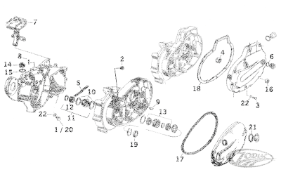 R.Case Pinion shaft roller set +.0004" (DE)