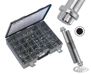 Assortm. tray of 12 point bolts,24 sizes (DE)