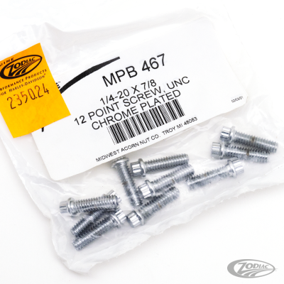 10pck 12-point bolts,1/4-20 x 7/8", UNC (DE)