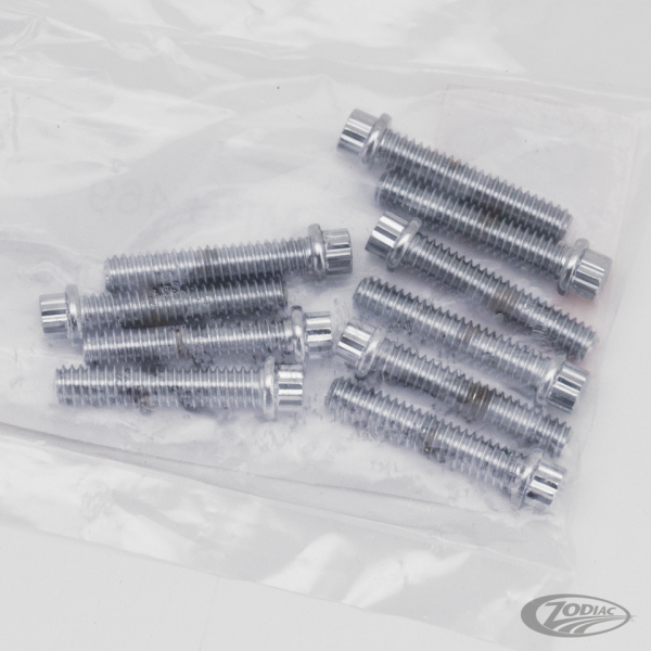 10pck 12-point bolts,1/4-20 x 1 1/4", (DE)