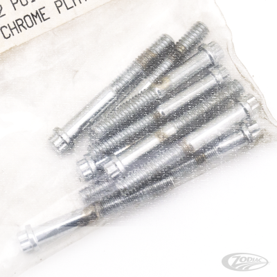 10pck 12-point bolts,1/4-20 x 2", (DE)