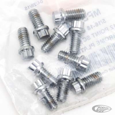 10pck 12-point bolts,5/16-18 x 5/8", (DE)