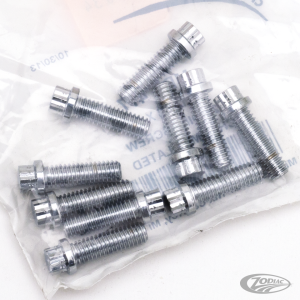 10pck 12-point bolts,5/16-18 x 1", (DE)