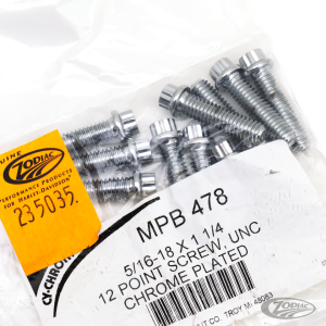 10pck 12-point bolts,5/16-18 x 1 1/4" (DE)